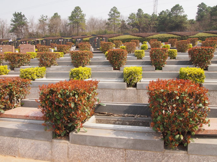 南京岱山墓园图片图片